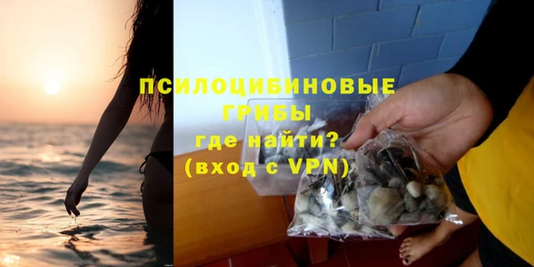 apvp Аркадак