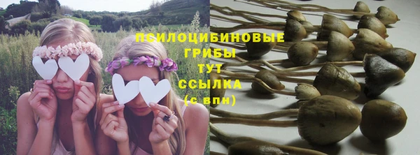 ешки Армянск